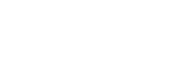 logo-dreamwall-white